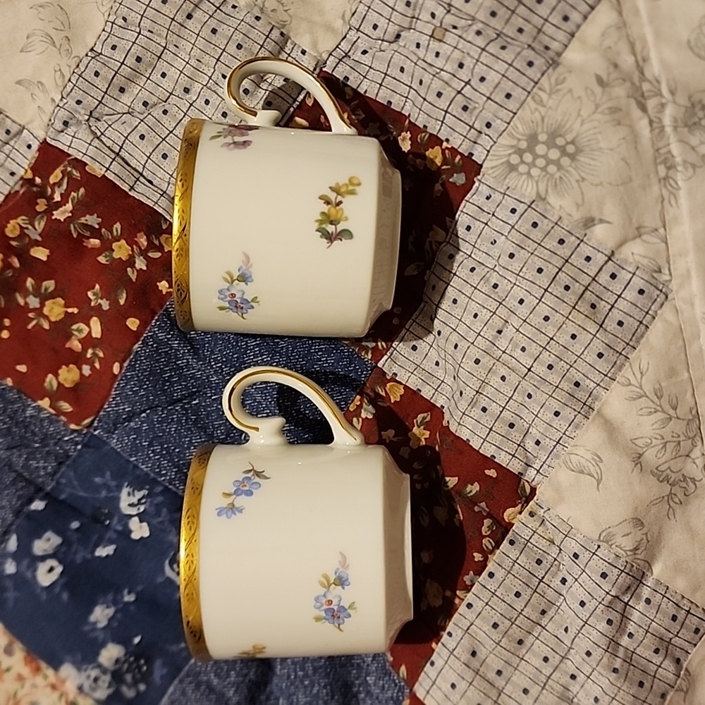 Set of Two Tirschenreuth Floral Golden Rim Demitasse Cups